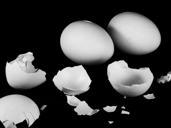 取扱商品の写真 2